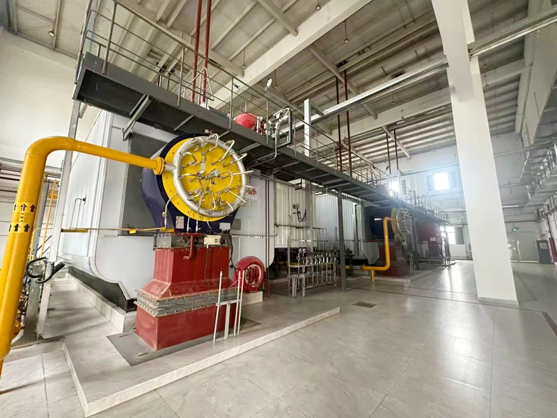 35 t/h Oil & Gas-fired Boiler